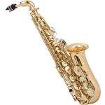 Alto Saxophone Supplies image