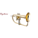 XO Bb Flugelhorn