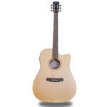 Nashville Guitar Works D10CE