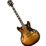 Washburn HB36K-O-U 6 String Hollow-body Electric Guitar