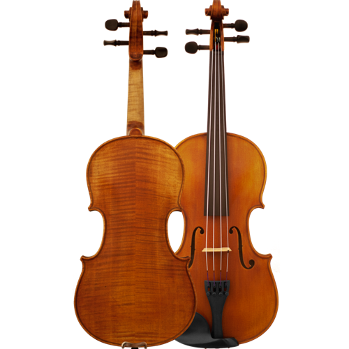 Full Size Niccolo Viola