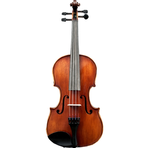 4/4 Fiamma Violin