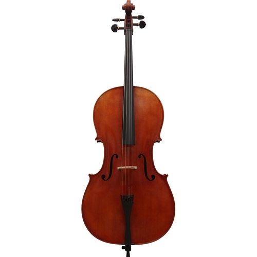 4/4 Sandro Luciano Fully Carved Cello