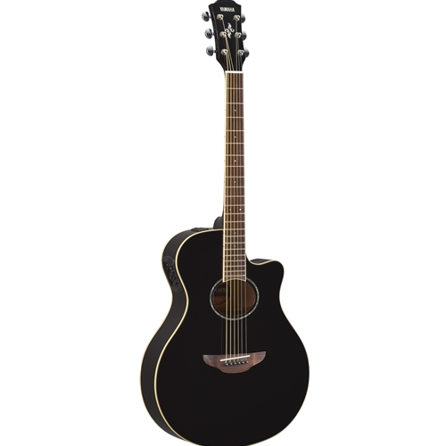 APX Series Acoustic Guitar