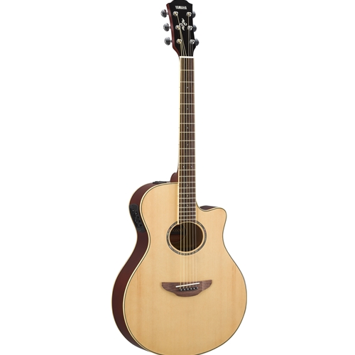 John Keal Music Company Inc. - APX Series Acoustic Guitar